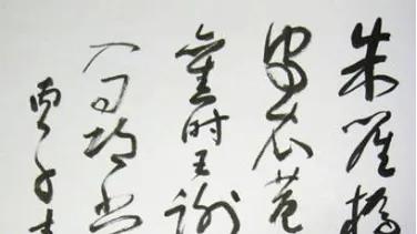 八位书法名家同写《乌衣巷》，你喜欢谁的作品