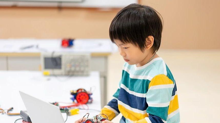 成都课后服务编程课上线：3-8 年级家长小心3个“坑儿”