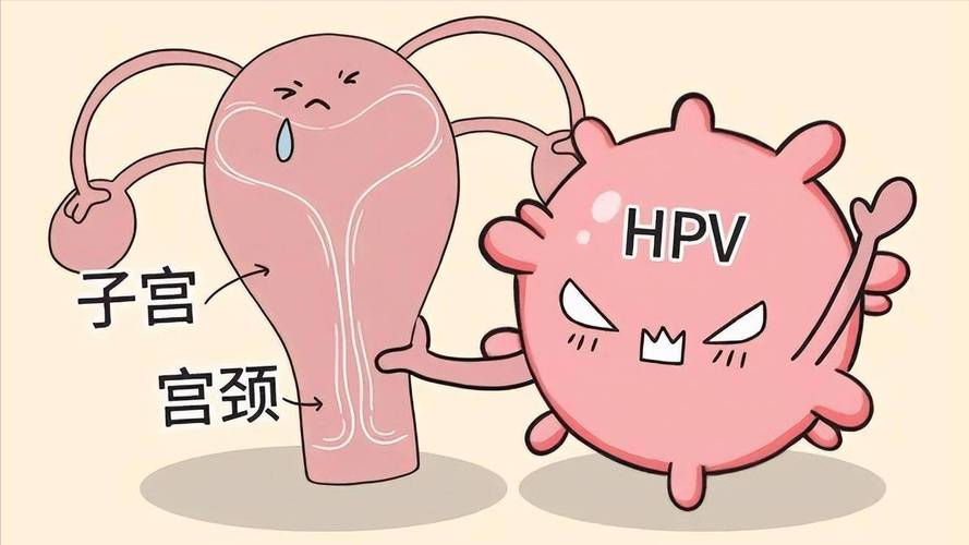 HPV≠宫颈癌，3类症状是宫颈在求救！别让小问题拖成宫颈癌