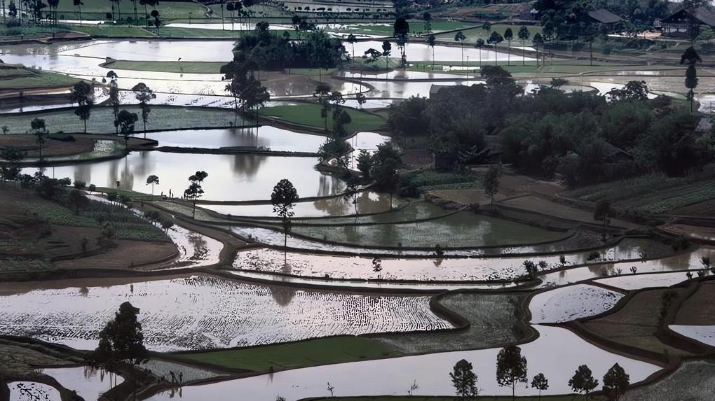 妹妹含泪转账10万，我才知道妹夫借钱的惊人真相