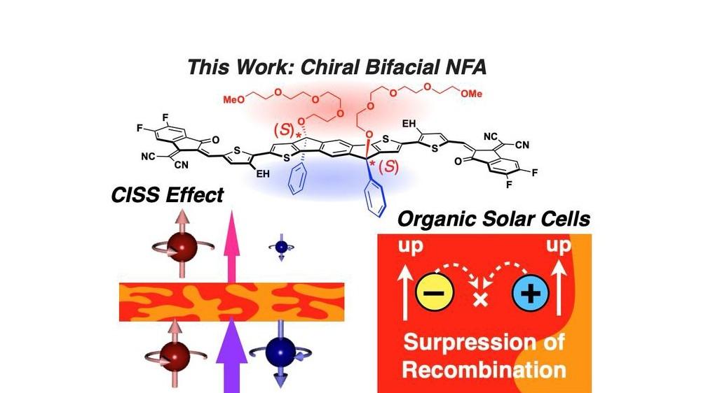 镜像分子提升有机太阳能电池性能