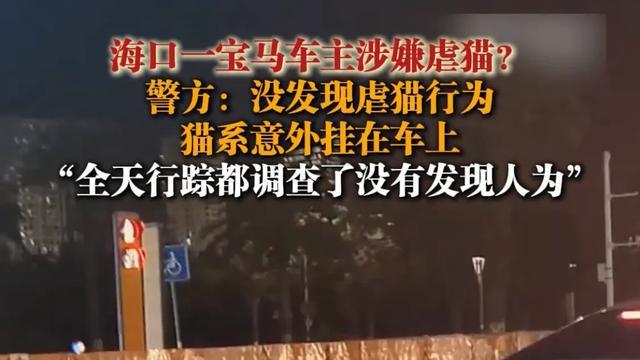 网暴的人是不是该出来道歉？海口宝马拖猫后续：警方通报系意外