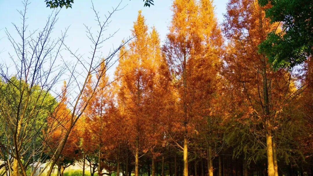 江南大学怎么样？人才培育有特色，天坑变“蓝海”！