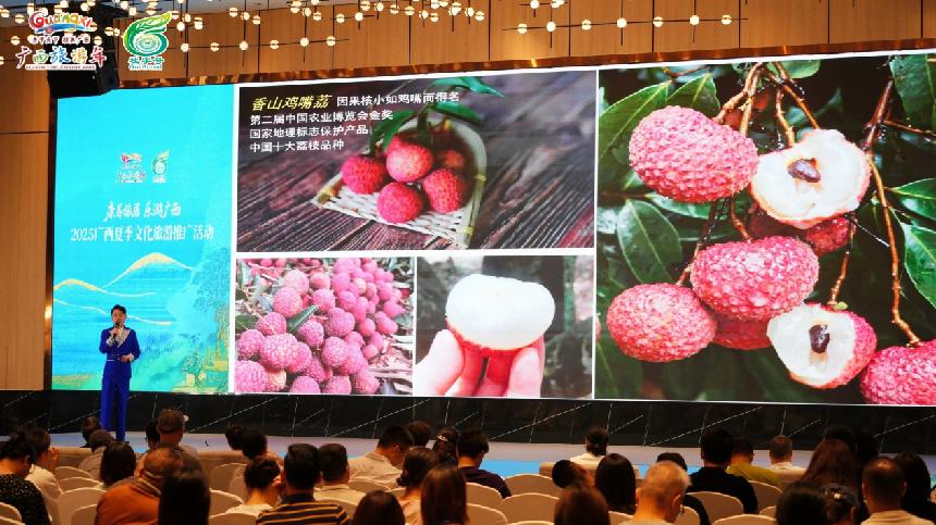 桂果飘香杭城 共赴盛夏之约  ——广西夏季文化旅游推广暨水果推介活动走进浙江杭州