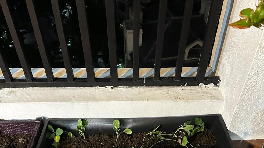 当“猪食槽”闯进家居界，竟然变成了神器！网友：这也太离谱了