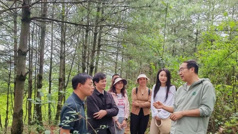 落户嵩明！野生菌保育促繁技术应用推广建设项目完成签约