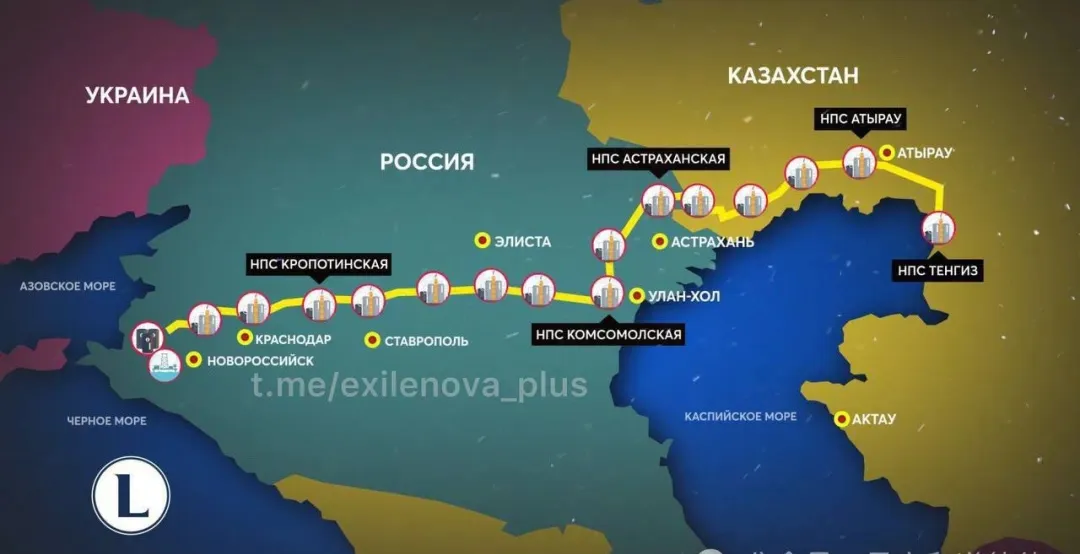 1小时22分钟的刻意羞辱，马斯克发出悲鸣