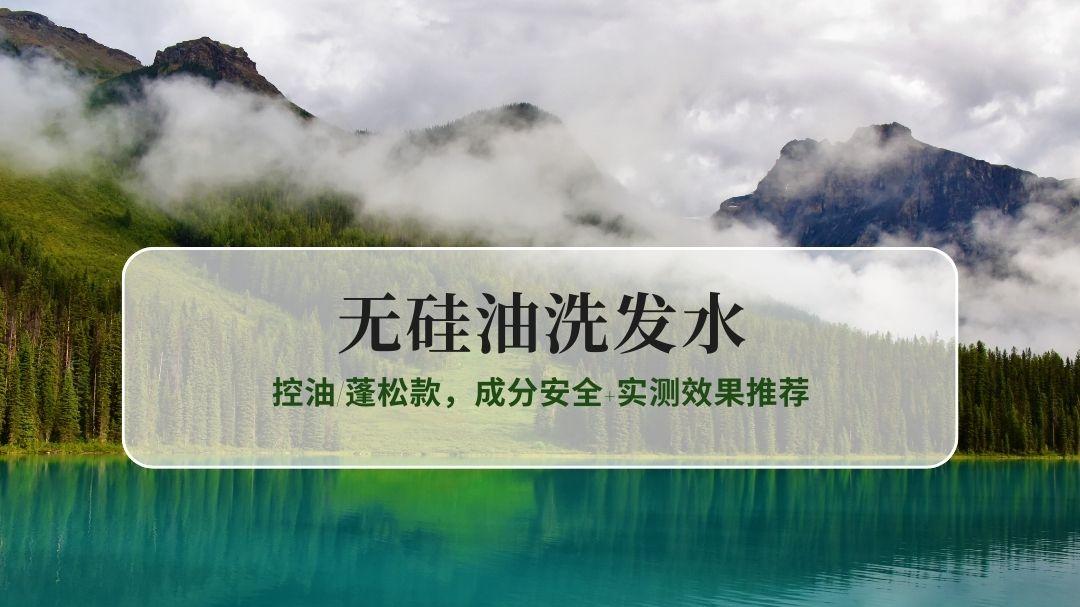 2025无硅油洗发水口碑TOP6：控油/蓬松款，成分安全+实测效果推荐