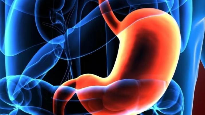 干细胞干预萎缩性胃炎：从“不可逆”到新希望