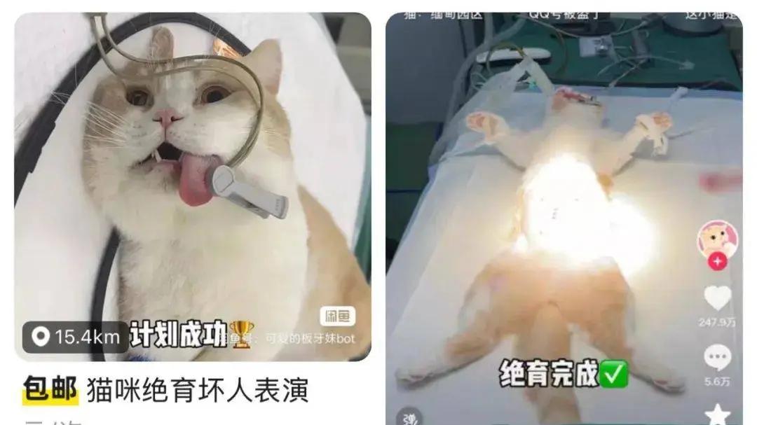 一代人有一代人的“歪门邪道”，年轻人邪修大赏
