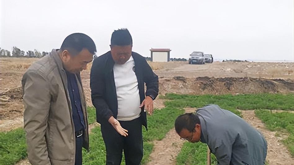 种豆角花生大豆，加点这玩意儿，产量轻松翻倍？真的假的？