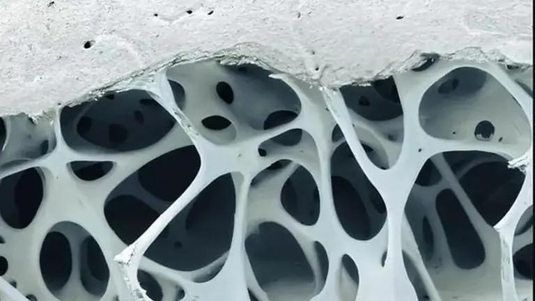 如果鸡突然变大30倍，会怎么样？