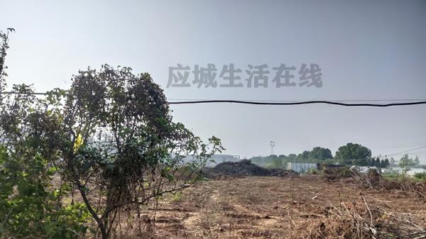 应城两河新区-肖湾路南延启动建设