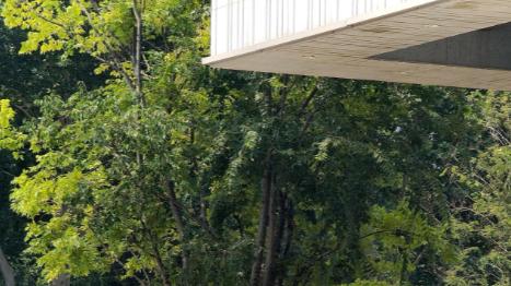 何猷君没说错，男人听老婆的话会有好运