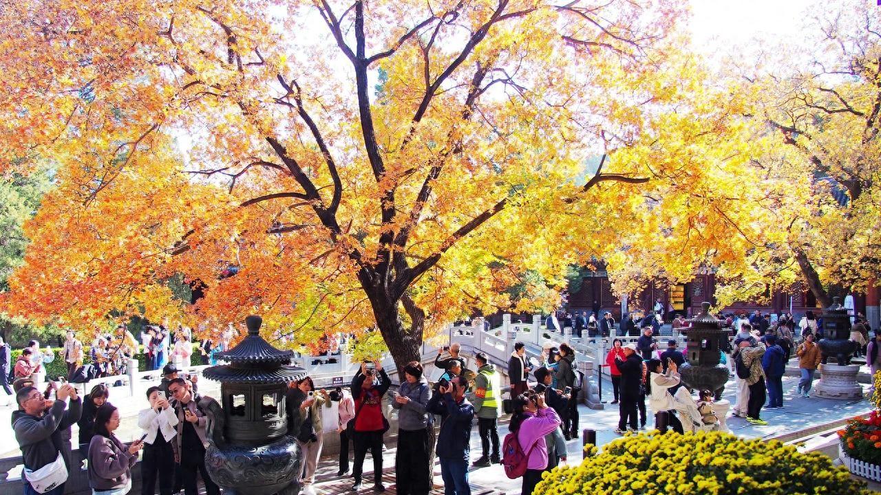 香山红叶季又来了，停车新增上千位，地铁直达更方便