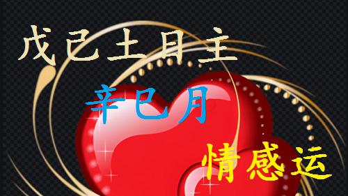 戊己土日主，2025年，（辛巳月）情感运
