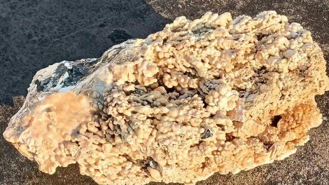 艺术品收藏品与鉴赏—胡志德