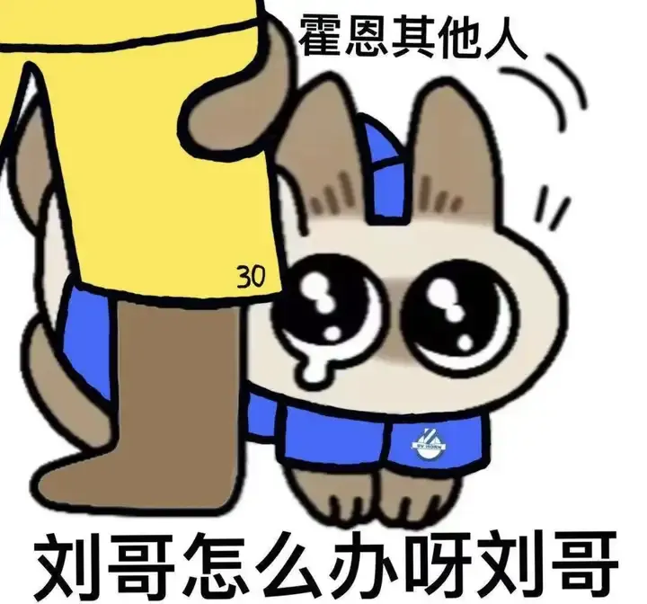 中国足球未来一门：刘邵子洋的道路该怎么选择？