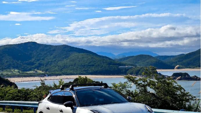 铁打的车企，流水的高管.....