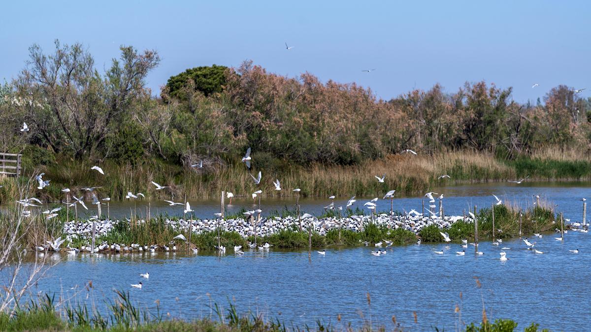 刚从北戴河回来，能劝一个是一个……