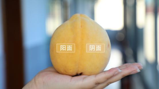 还分“阴阳面”？原来奉贤锦绣黄桃要这样吃→