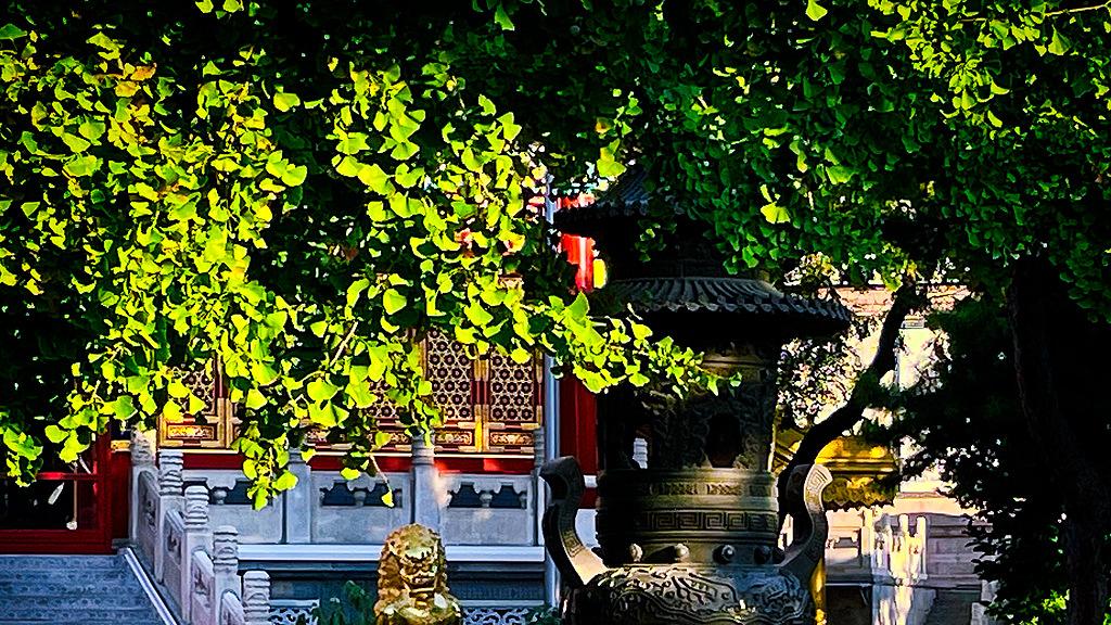 “逃逸不成反讹30万？”男子酒驾撞人后逃逸，被伤者丈夫拦截摔成十级伤残，竟向受害人丈夫索赔30万