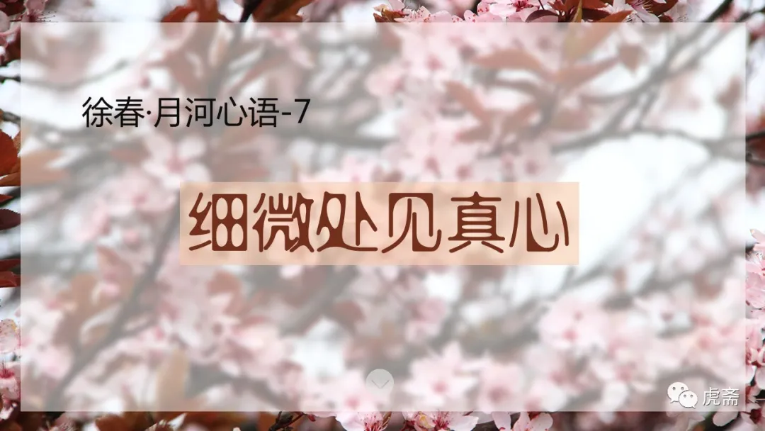 月河心语（七）<细微处见真心>