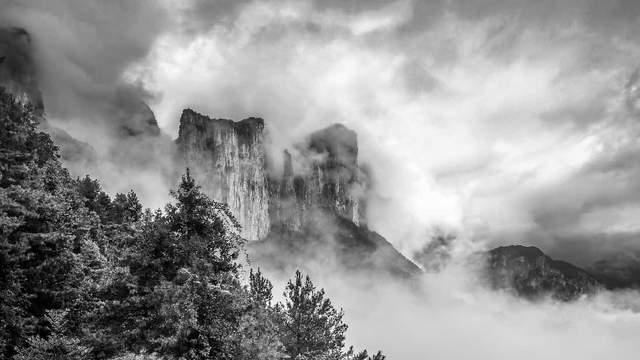 荣耀中国——世界文化摄影大师杨健业