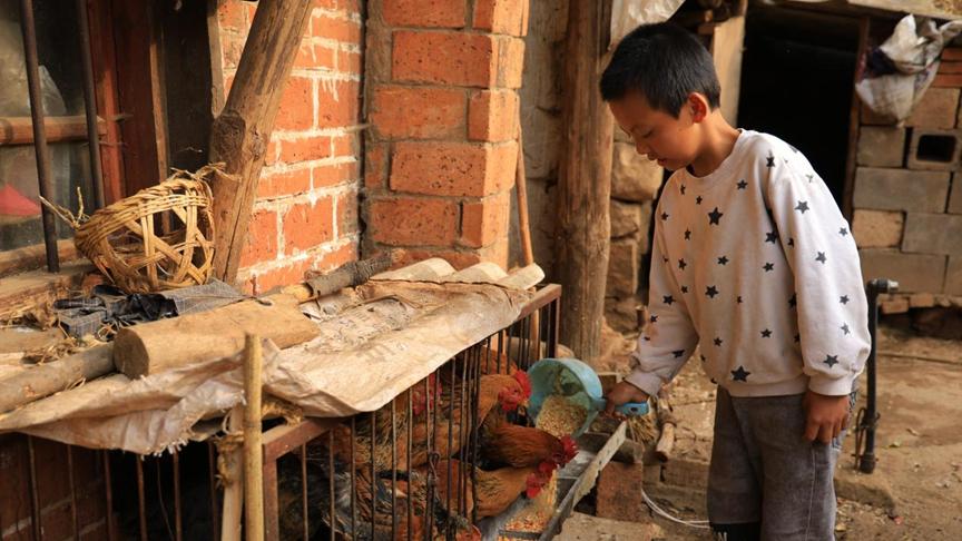 父亲打工去世，离家3年的妈妈却拿走赔偿金，男童和爷爷奶奶相依为命