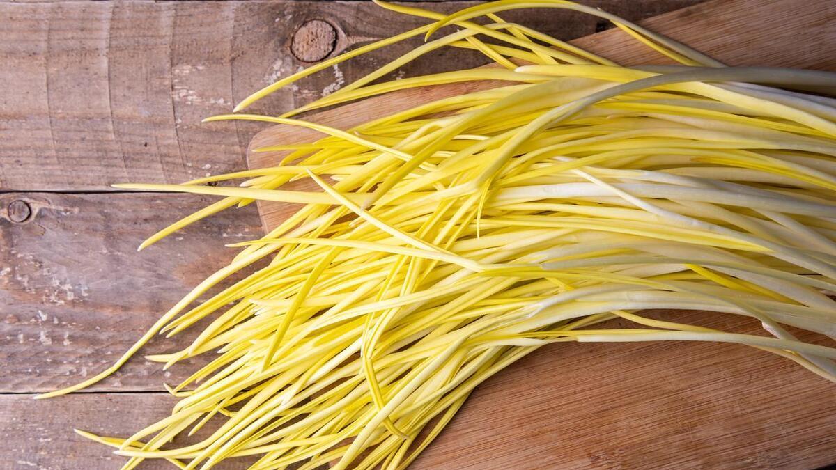 家里的大蒜发芽了怎么办？别扔！教你用花盆种出美味蒜黄，就像种豆芽一样简单！