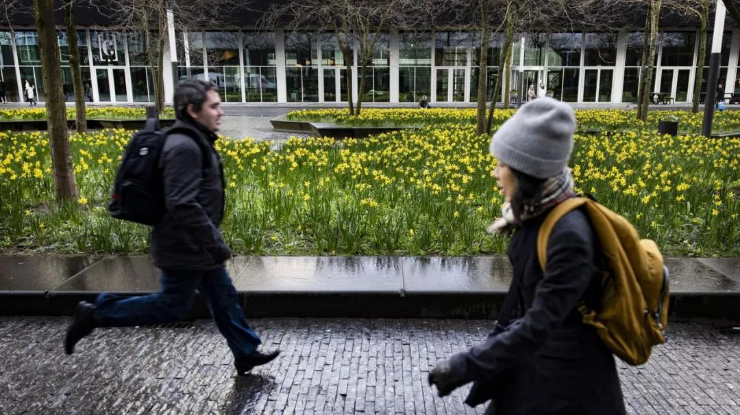 从全职到"近全职"：荷兰工作模式变革，30万人选择每周28-35小时