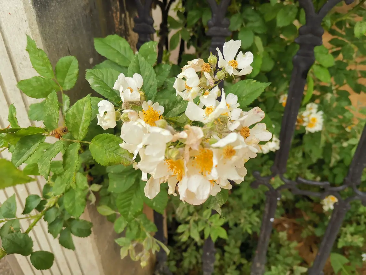 保持足够清醒，方能幡然醒悟