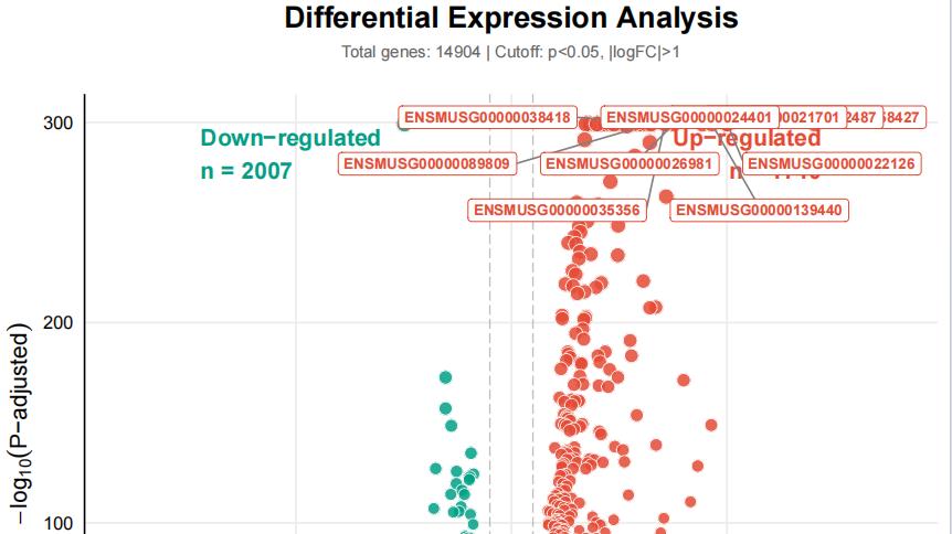 如何在服务器上使用 Gemini 3 进行生信分析：从入门到进阶
