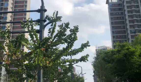 旺自己的核心：不是努力，而是培养这日常惯性