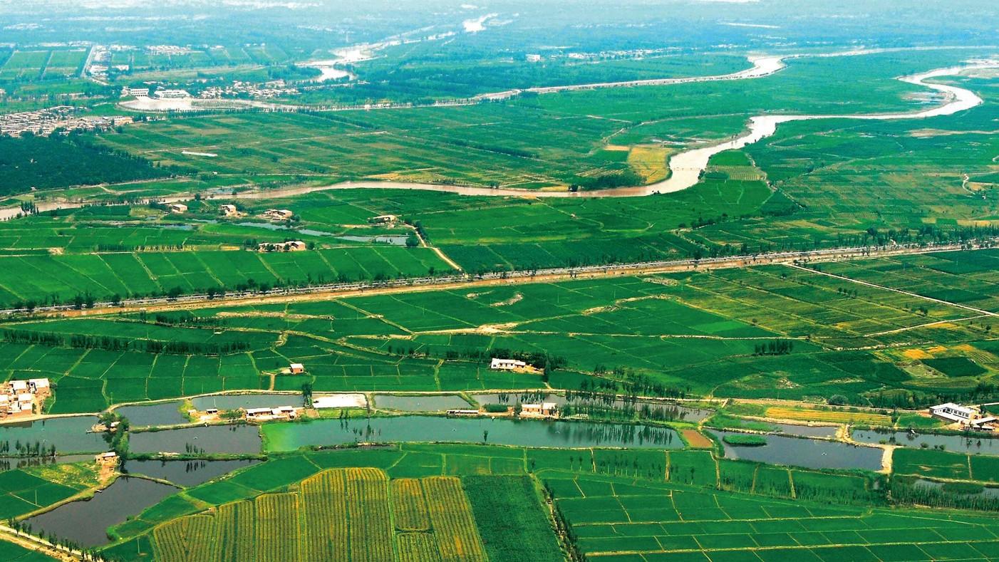 政策市场双驱动，良种良技齐发力：四川破解酿酒原粮难题