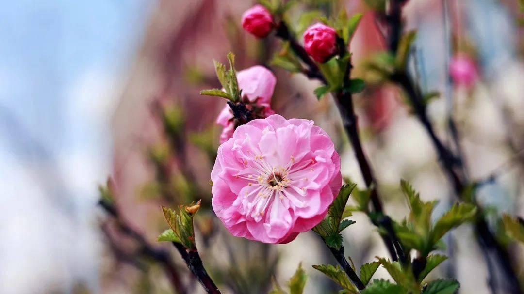 回首半生，从青丝到白发：那些年的光阴故事