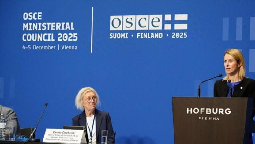 欧盟女外长声称：俄罗斯过去100年“入侵”19国，俄副外长：荒谬