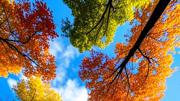 与自己温柔相拥