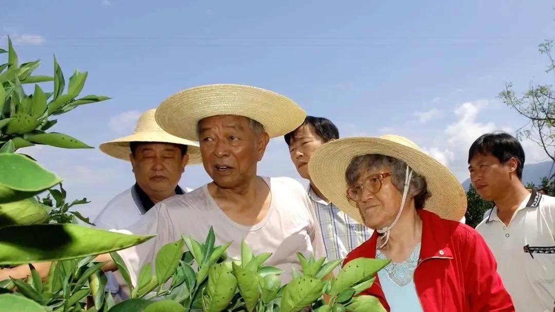 褚橙二代褚一斌：我继承了父亲的一顶帽子