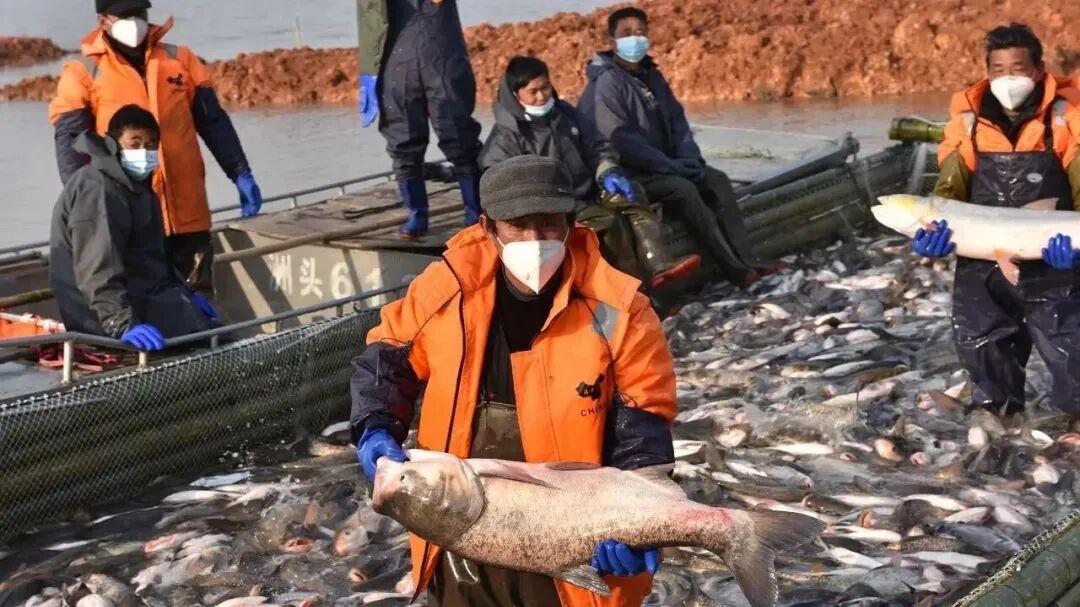 第二届安徽农文旅电商嘉年华！12月6日，来宿松共赴一场数字经济的盛会！