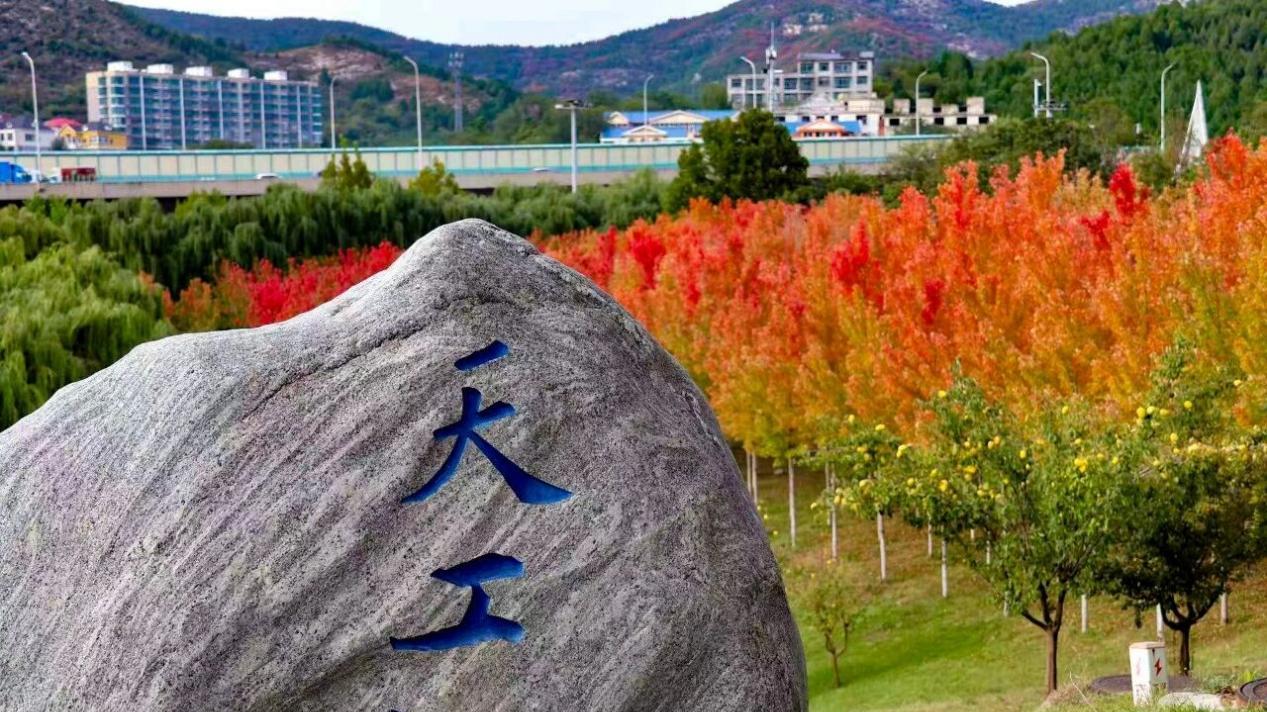 拒绝偏科发展，山东大学好不好？凭借全面均衡发展实力圈粉，值得选择！