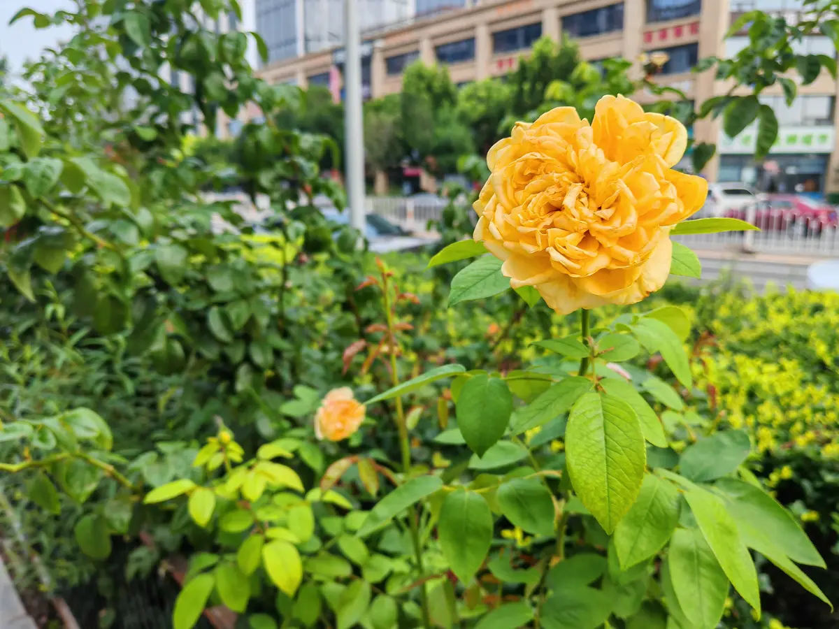 别在别人心里修行自己，别在自己心里强求别人