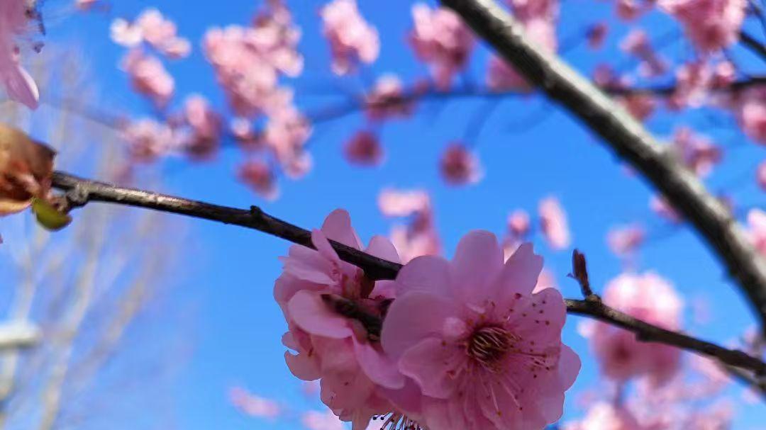 远离批评你的人