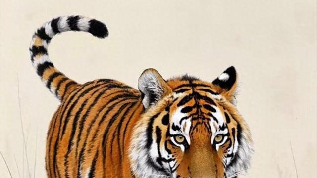 属虎人百年一遇的情人竟然是他