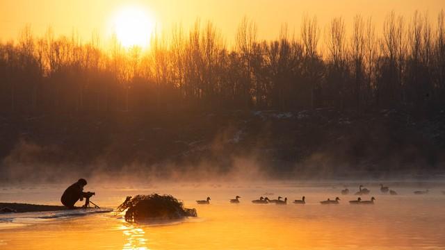 江城子·小暑前一日暑气蒸腾