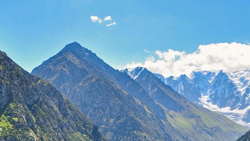 揭秘热搜标题的 “流量密码”：掌握这 4 点，让内容自带传播力