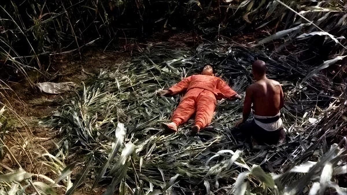 杨学婷：文学与影视作品的共谋与重构 ——浓淡深浅《红高粱》