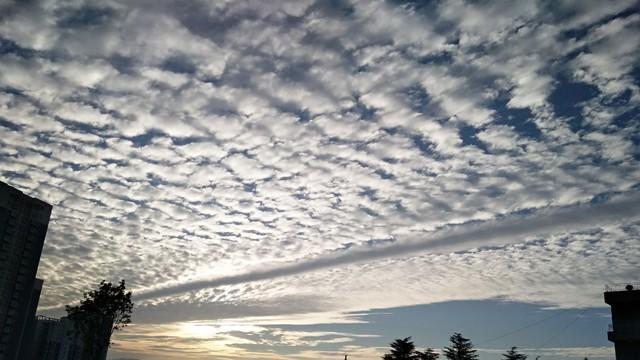 从“躺平”到“觉醒”：年轻人正在重构自己的生存哲学