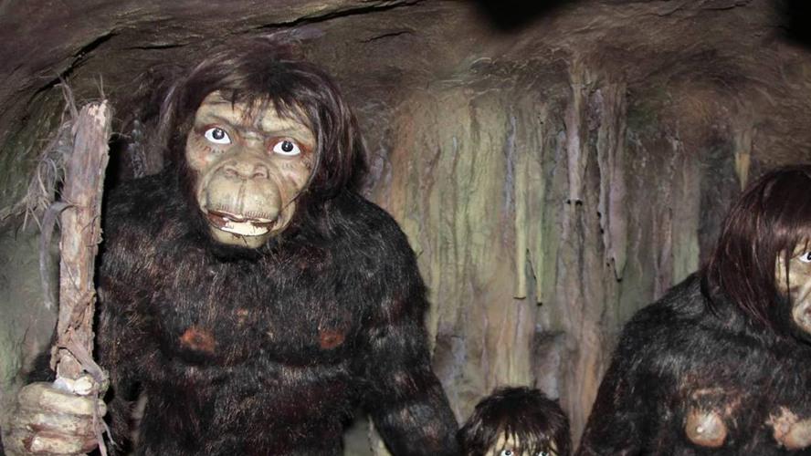 神农架惊现直立行走巨猿！红外相机拍下育儿行为，进化论遭遇挑战