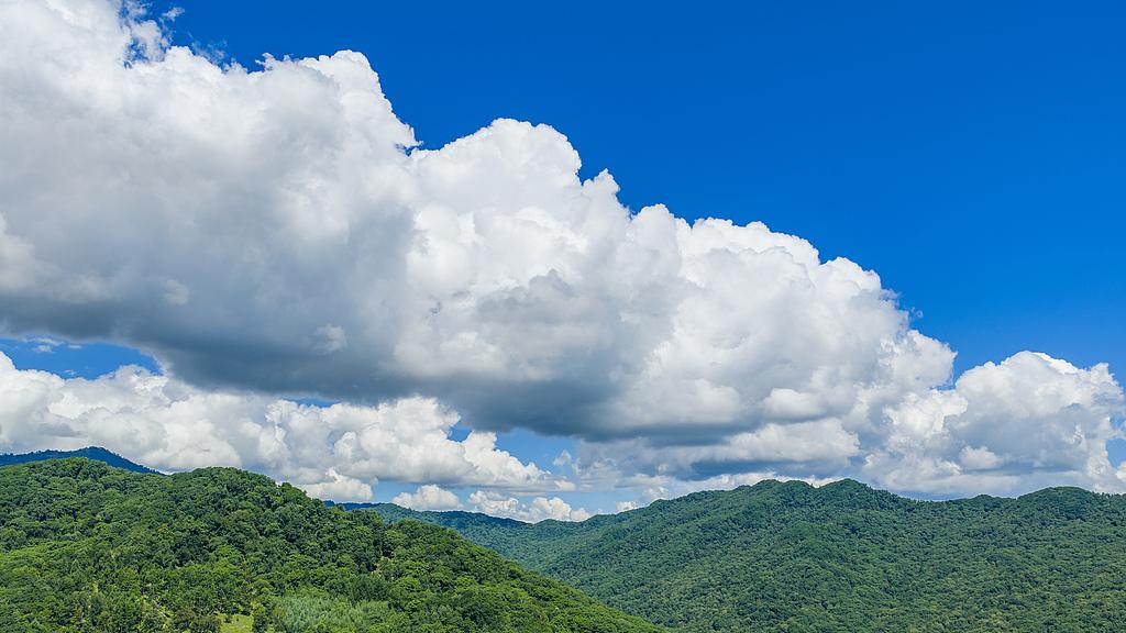 一定要远离语言攻击性强的人